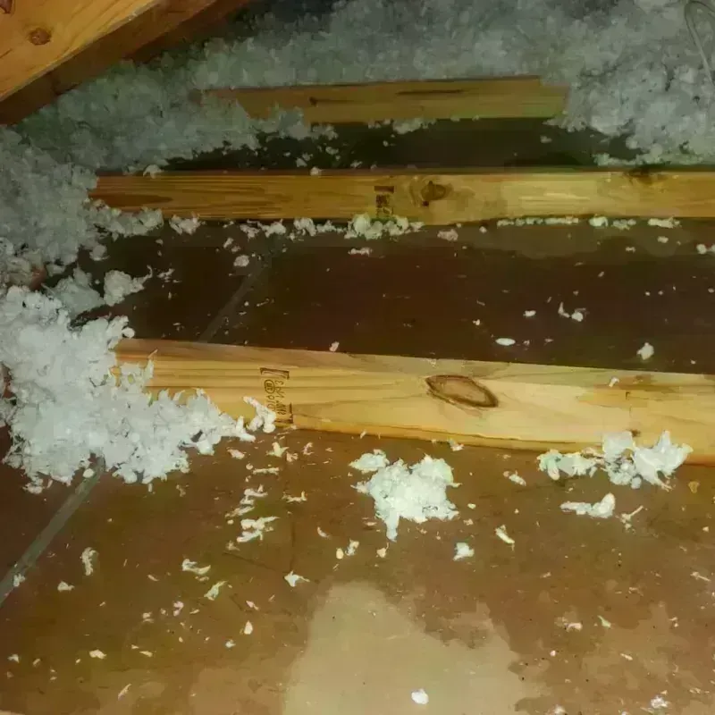 Attic Water Damage in Houston County, TN