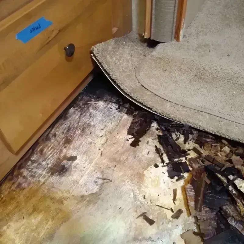 Wood Floor Water Damage in Houston County, TN